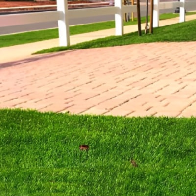 LANDSCAPE CARE